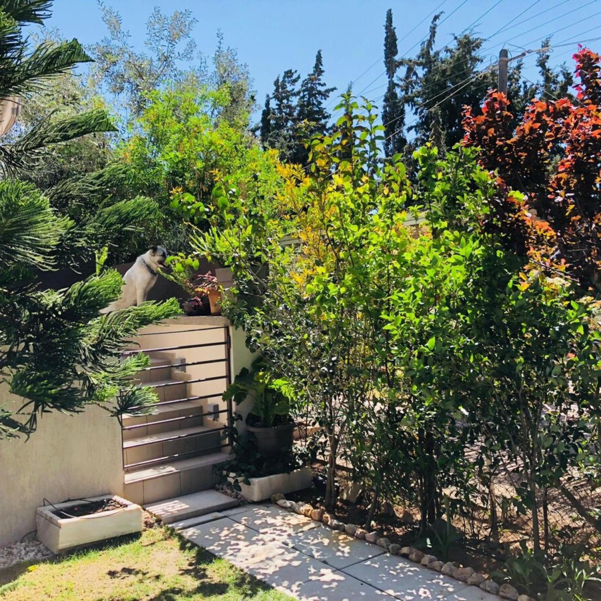 Azure House At Lagonissi لاغونيسي المظهر الخارجي الصورة