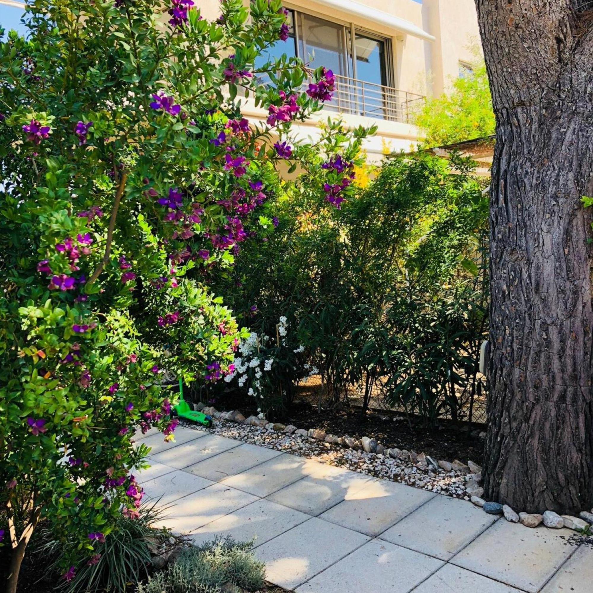 Azure House At Lagonissi لاغونيسي المظهر الخارجي الصورة